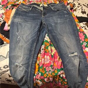 Women’s Maurice’s jeans